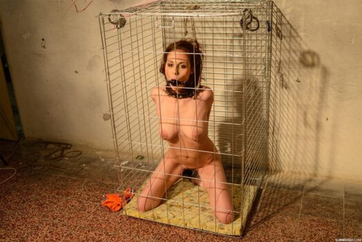 SubAmateur Discount